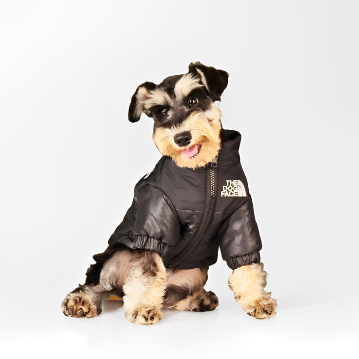 Winter Dog Puffer Jacket | Warm, Windproof & Lightweight Coat