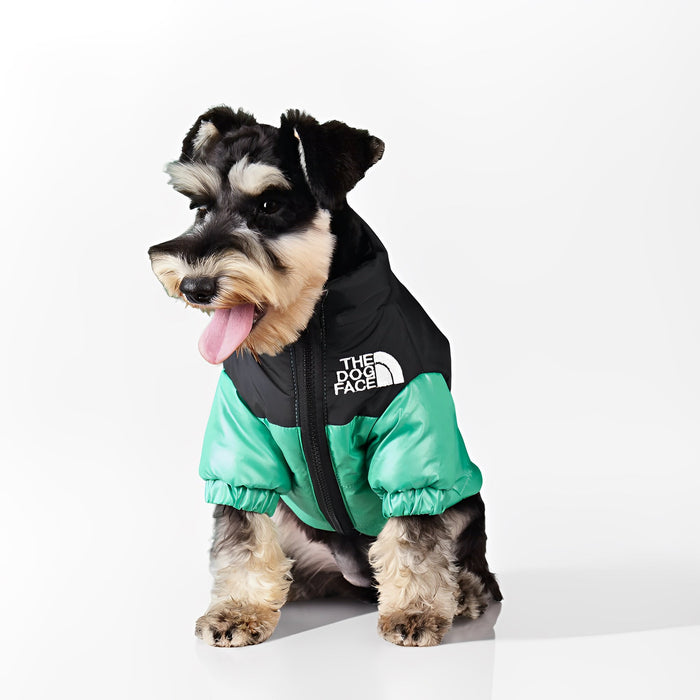 Winter Dog Puffer Jacket | Warm, Windproof & Lightweight Coat