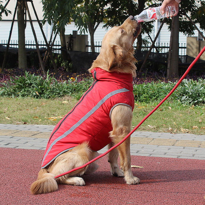 Winter Reflective Padded Pet Jacket
