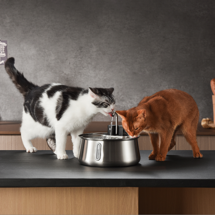 Wireless 2.0 Hydration & Playtime Value Bundle