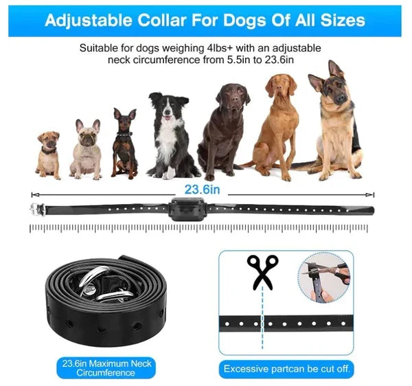 Wireless Dog Fence & Dog Training Collar – 2-in-1 Containment System