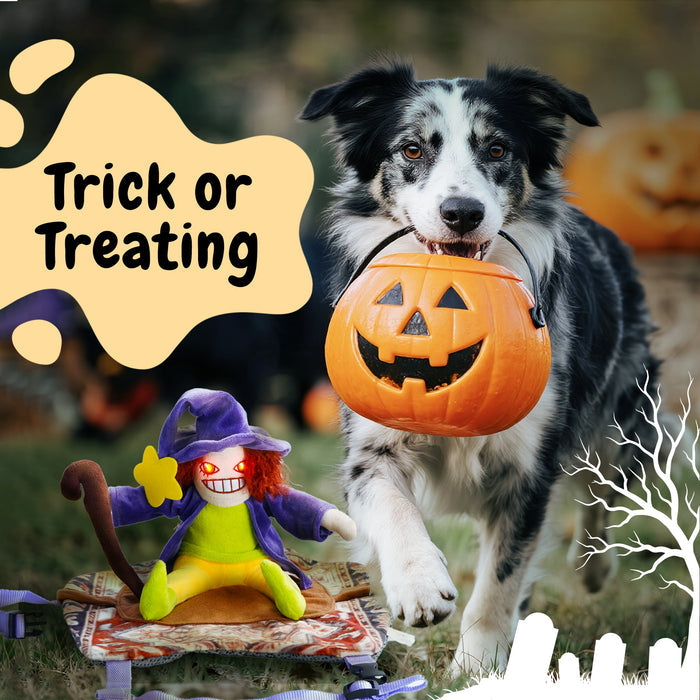 Witch Riding Dog Halloween Costume – Funny LED Pet Costume with Harness
