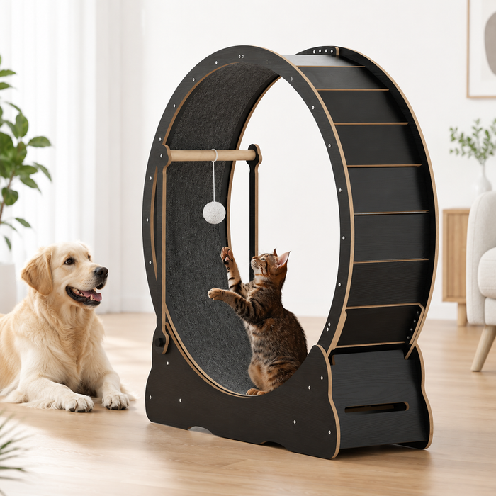 Wooden Cat Exercise Wheel with Locking Brake & Interactive Teaser