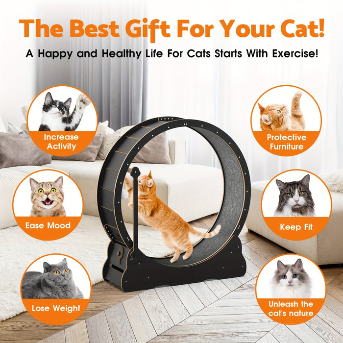Wooden Cat Exercise Wheel with Locking Brake & Interactive Teaser