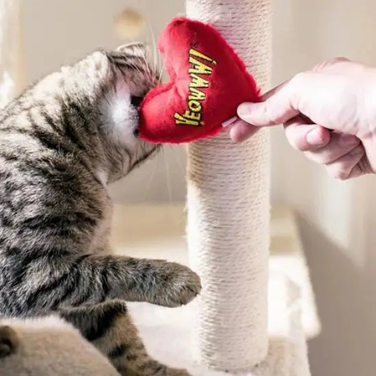Yeowww! Cat Nip | Best Cat Toy | Hearrrt Attack Snuggler