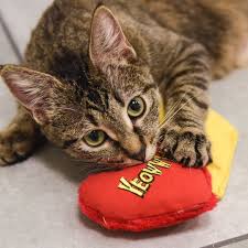 Yeowww! Cat Nip | Best Cat Toy | Hearrrt Attack Snuggler