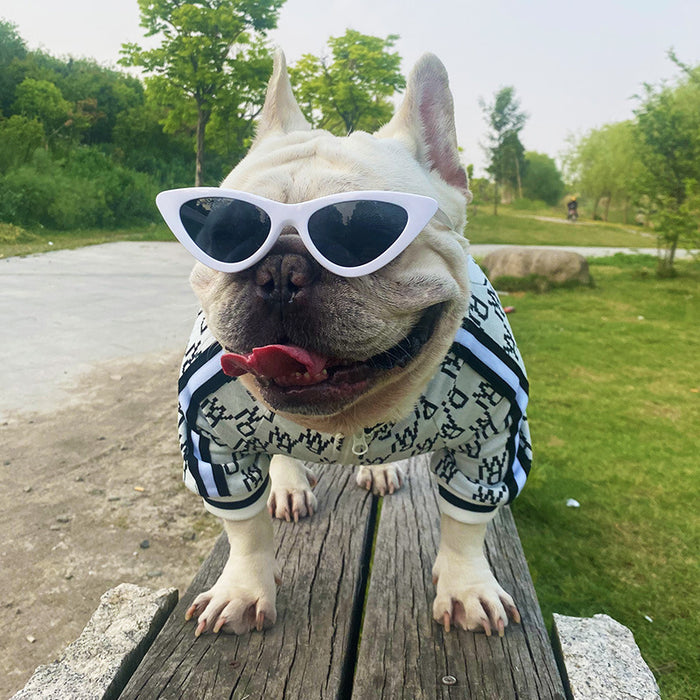 Zip-Up Pet Jacket, Stretchy Clothing for Pets